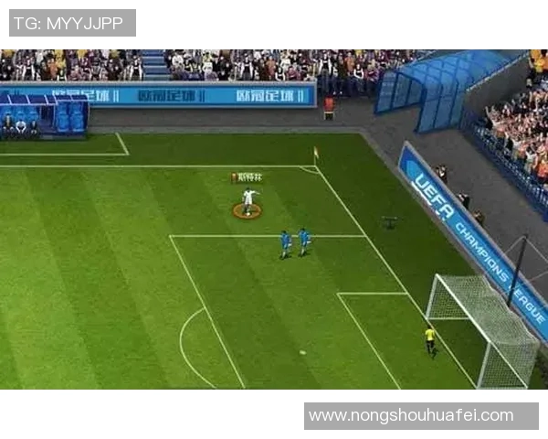 聚焦绿茵场白人足球巨星的辉煌历程与荣耀时刻