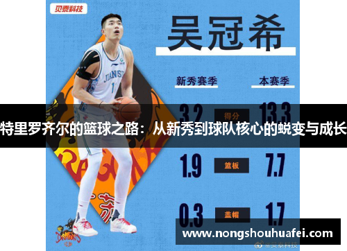 特里罗齐尔的篮球之路：从新秀到球队核心的蜕变与成长