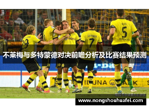 不莱梅与多特蒙德对决前瞻分析及比赛结果预测