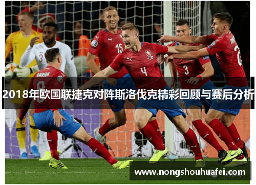 2018年欧国联捷克对阵斯洛伐克精彩回顾与赛后分析